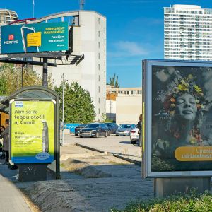 Autor: Nino Belovič / YIM.BA