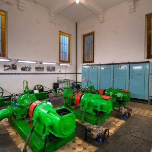 Sihoť. Autor: Nino Belovič / YIM.BA